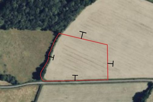 Land for sale in Snailing Lane, Greatham, Liss GU33, £250,000