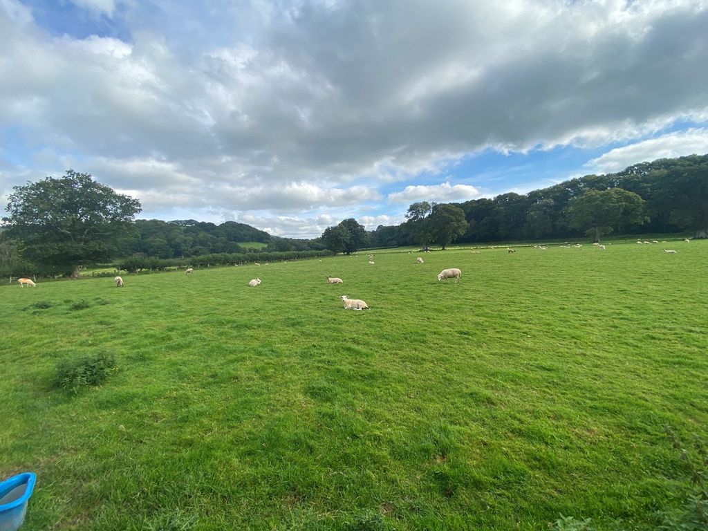 Farm for sale in Llandovery SA20, £895,000