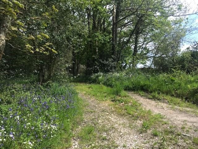 Land for sale in West Holme, Wareham BH20, £50,000