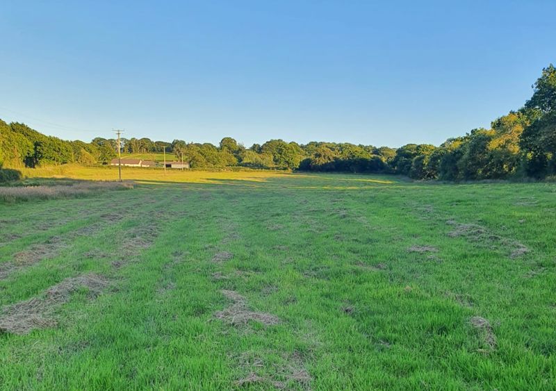 Land for sale in Cookbury, Holsworthy EX22, £3,000
