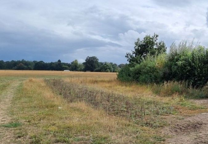 Land for sale in Wallingford Road, Wallingford OX10, £6,000