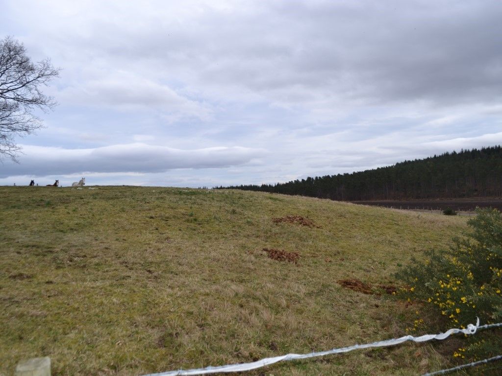 New home, Land for sale in Muir Of Lochs, Garmouth, Fochabers IV32, £75,000