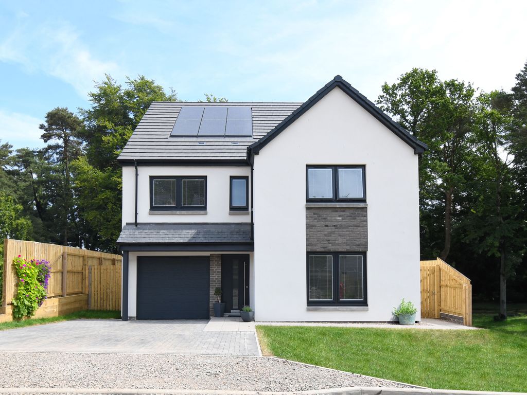 New home, 4 bed detached house for sale in The Marketing Suite, Hillside, Montrose DD10, £350,000