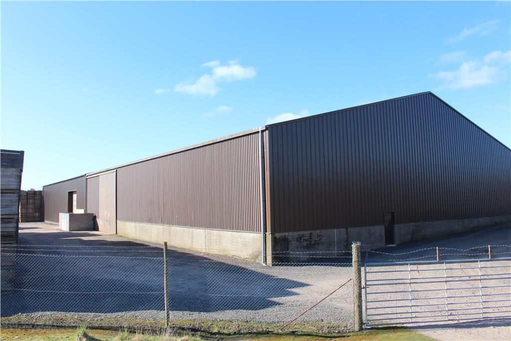 Industrial to let in Scott Street, Brechin DD9, Non quoting