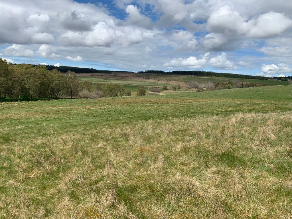Land for sale in Burnside Of Ballintomb, Carron, Aberlour AB38, £100,000