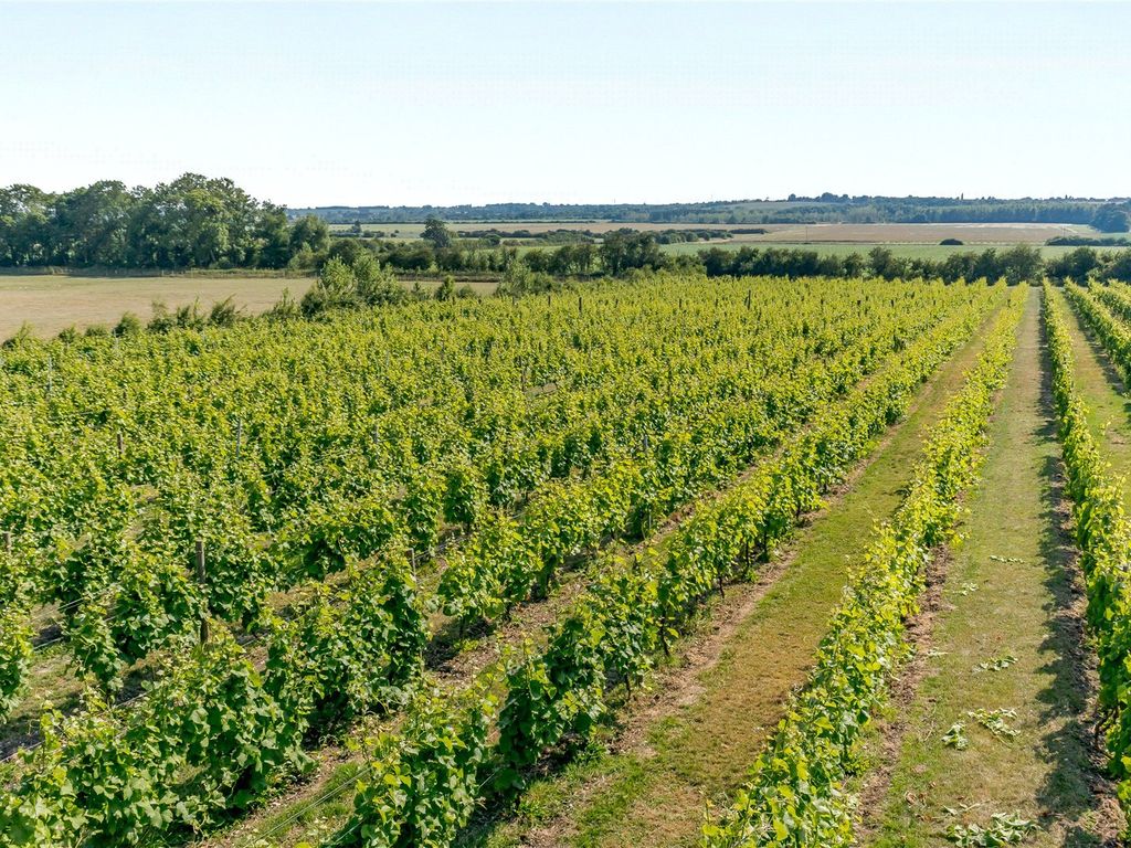 Land for sale in Somerby Vineyard & Winery, Somerby, Barnetby, Lincolnshire DN38, £700,000