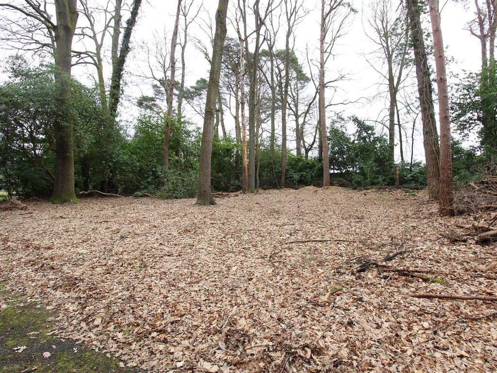 Land to rent in Crawley Hill, West Wellow, Romsey SO51, £500 pcm