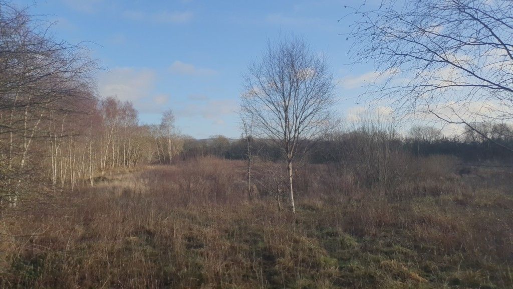 Land to let in Former Craigrigg Brickworks, Bridgehouse, West Lothian EH48, Non quoting