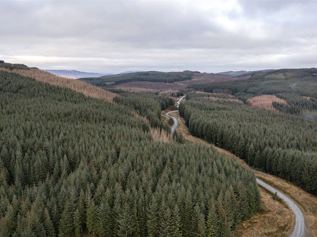 Land for sale in Lot 2 Moness Forest, Aberfeldy, Perthshire PH15, £25,000,000