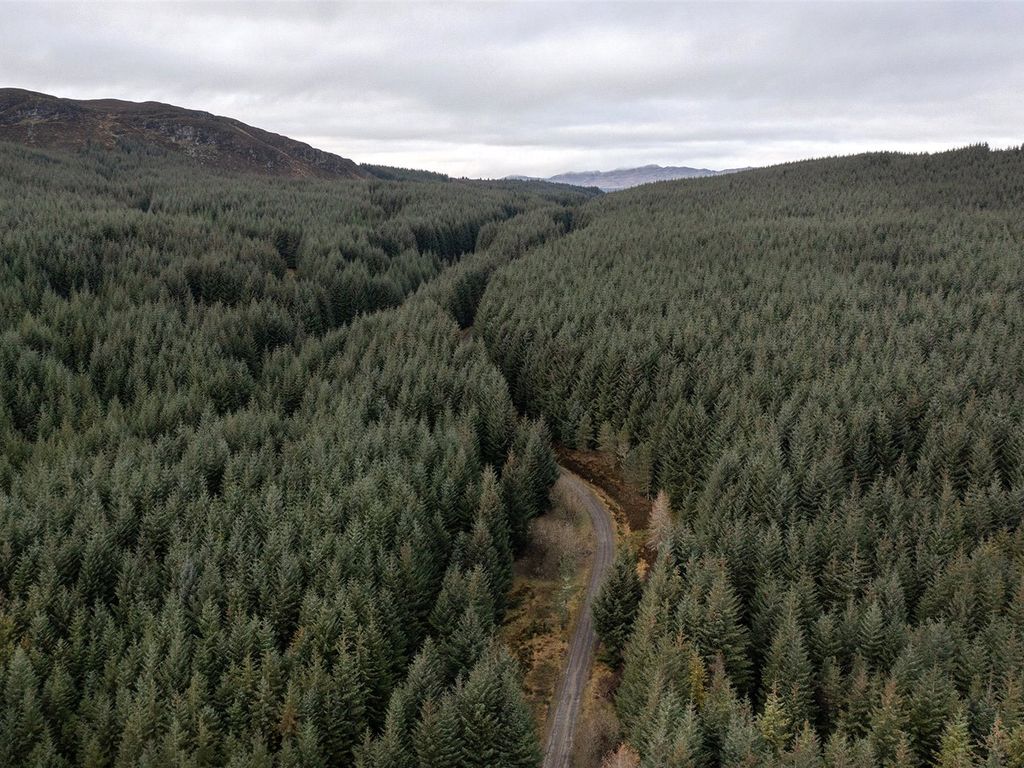 Land for sale in Forestry & Renewables Portfolio, Aberfeldy, Perthshire PH15, £130,000,000