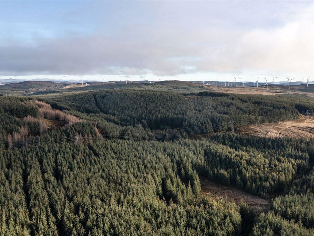 Land for sale in Forestry & Renewables Portfolio, Aberfeldy, Perthshire PH15, £130,000,000