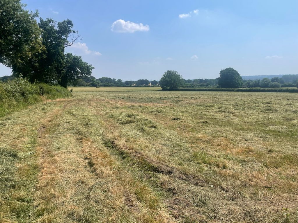 Land for sale in Landford Wood, Salisbury, Wiltshire SP5, £750,000