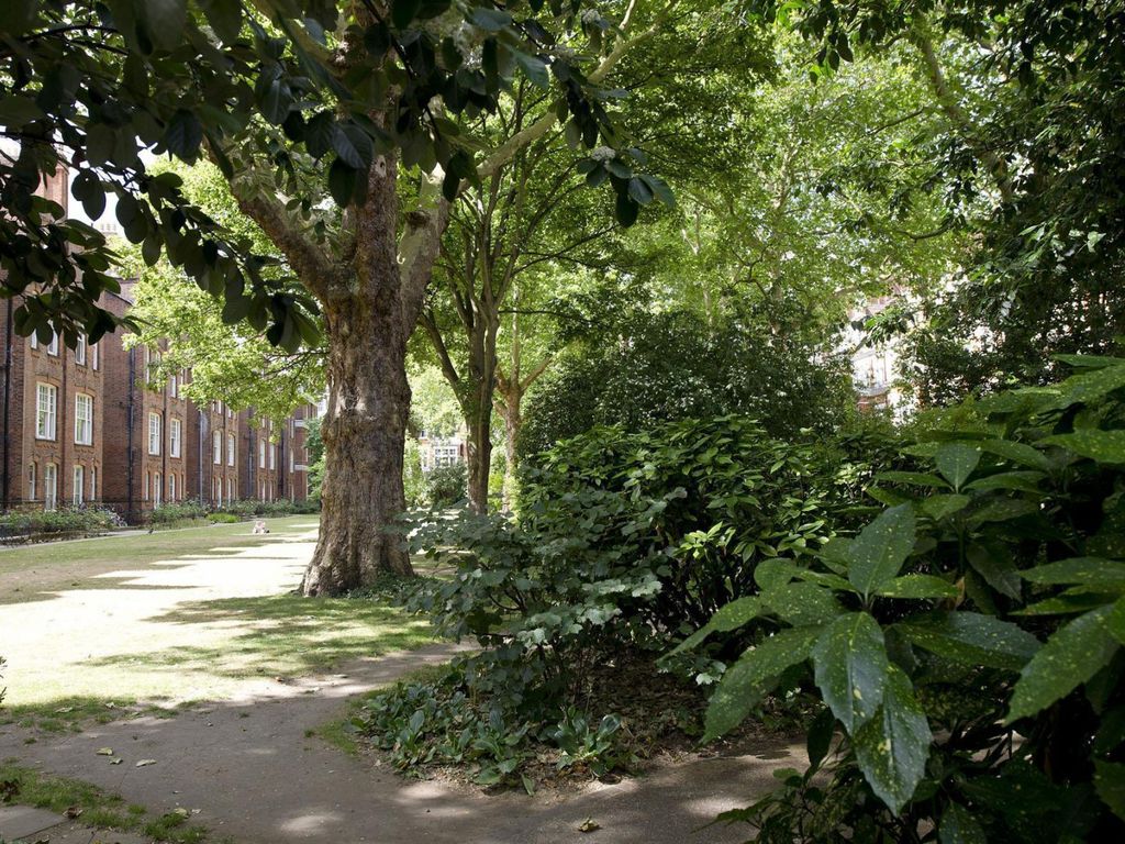 2 bed flat to rent in Cranley Gardens, London SW7, £5,417 pcm