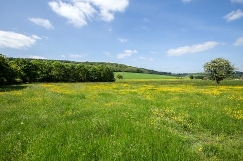 Land for sale in Stoke, Andover SP11, £1,550,000
