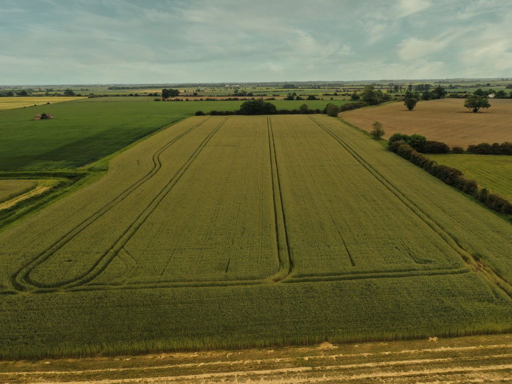 Land for sale in London Road, Chatteris PE16, £3,700,000