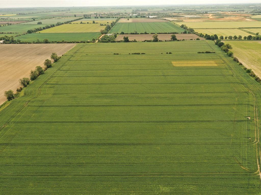 Land for sale in London Road, Chatteris PE16, £3,700,000