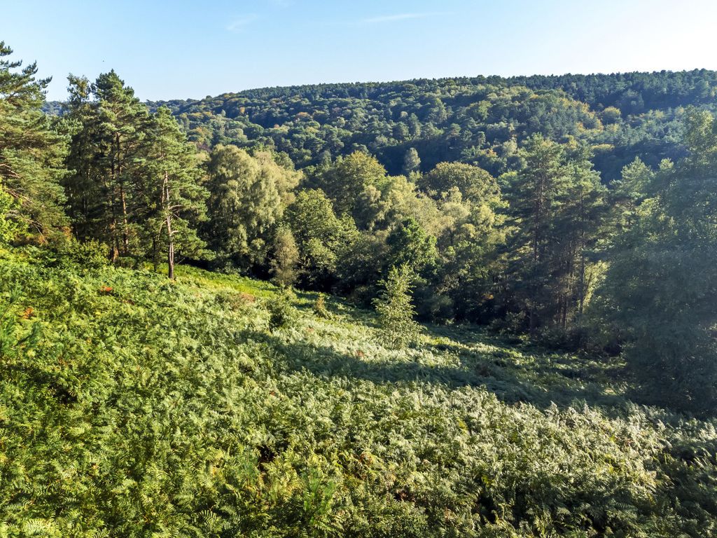 Land for sale in Whitmore Vale Road, Hindhead, Surrey GU26, £2,750,000