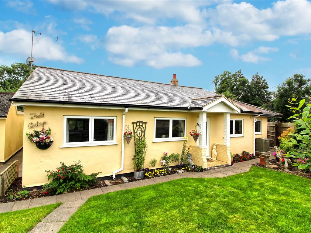 3 bed detached bungalow for sale in Barwick, Ware SG11, £650,000