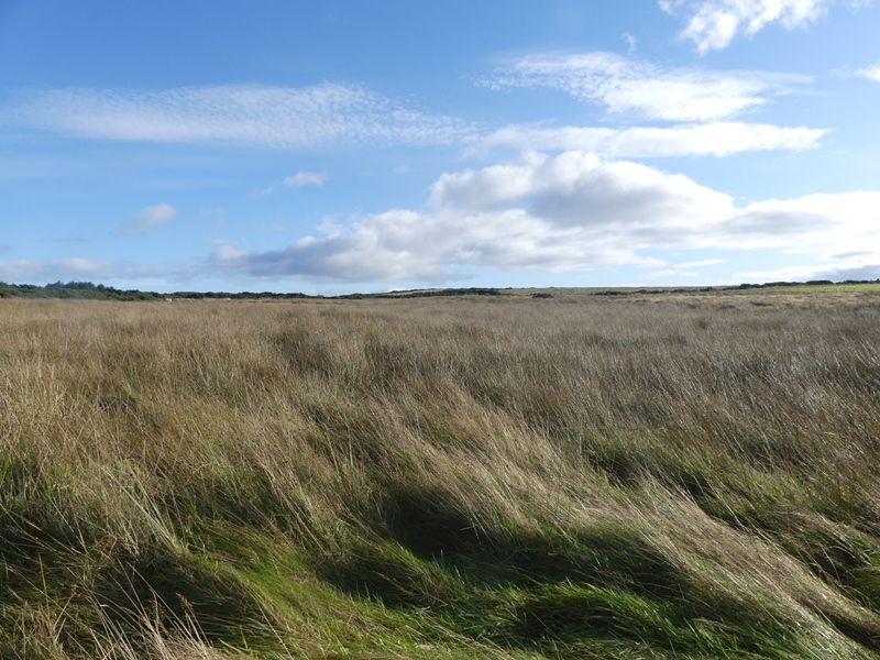 Land for sale in Canisbay, Wick KW1, £55,000