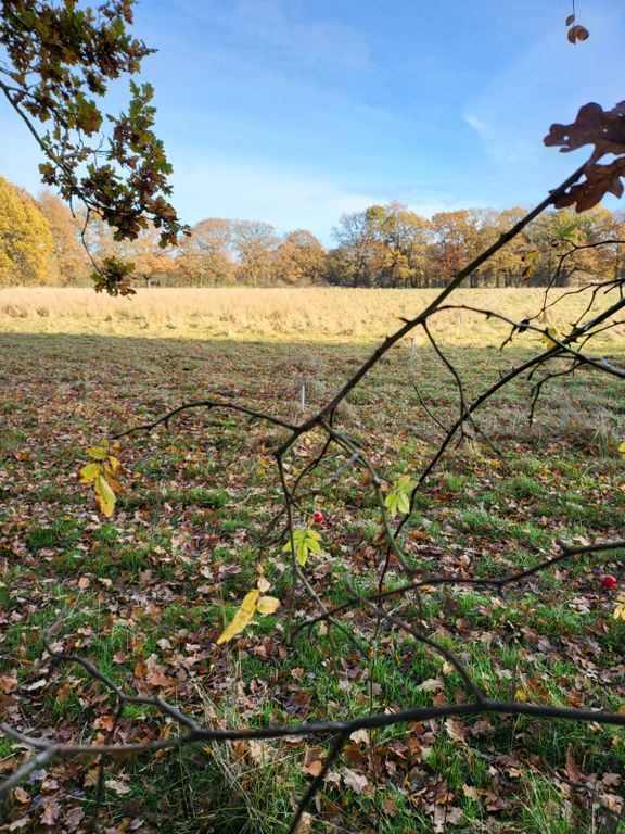 Land for sale in Hare Lane, Lingfield RH7, £5,000