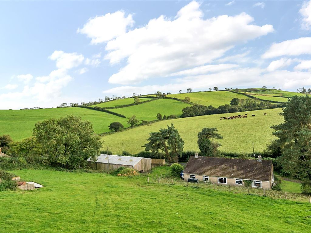 Land for sale in Broadwindsor, Beaminster DT8, £50,000