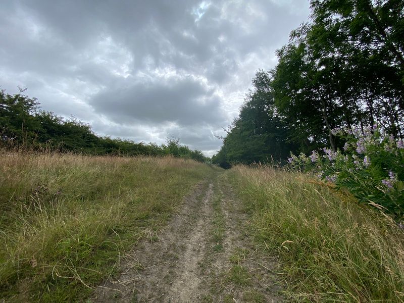 Land for sale in Wood Lane, Brinsworth, Rotherham S60, £200,000
