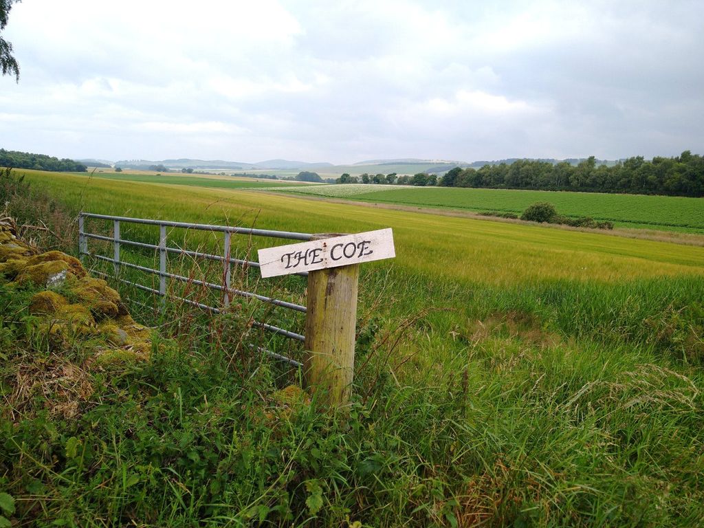 Land for sale in Land At The Coe, The Coe, Menmuir, Brechin, Scotland DD9, £575,000