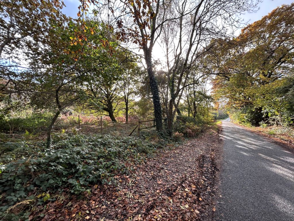 Land for sale in Newtown Road, Awbridge, Romsey SO51, £80,000