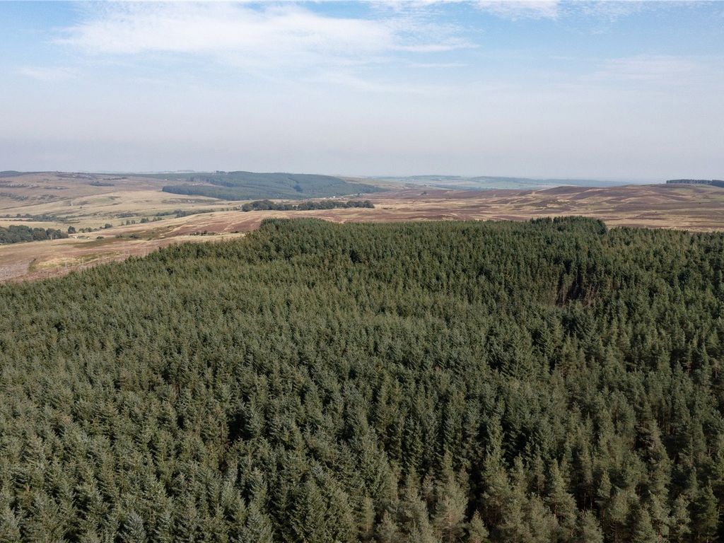 Land for sale in Rimside Forest, Alnwick, Northumberland NE66, £2,100,000