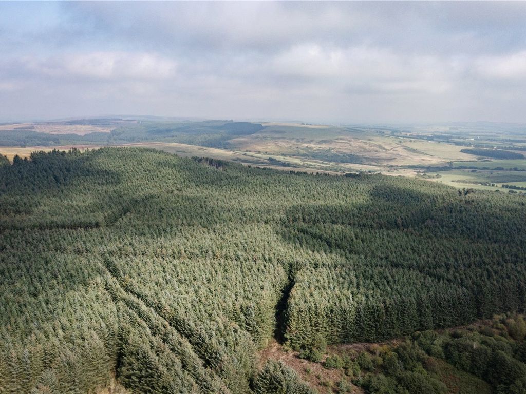 Land for sale in Longframlington Forest, Alnwick, Northumberland NE66, £6,250,000