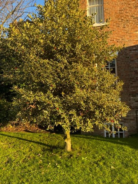 3 bed flat to rent in Mount Place, Boughton, Chester CH3, £1,650 pcm
