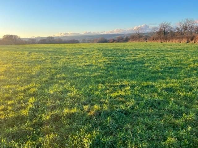 Land for sale in Cilgerran, Cardigan SA43, £50,000