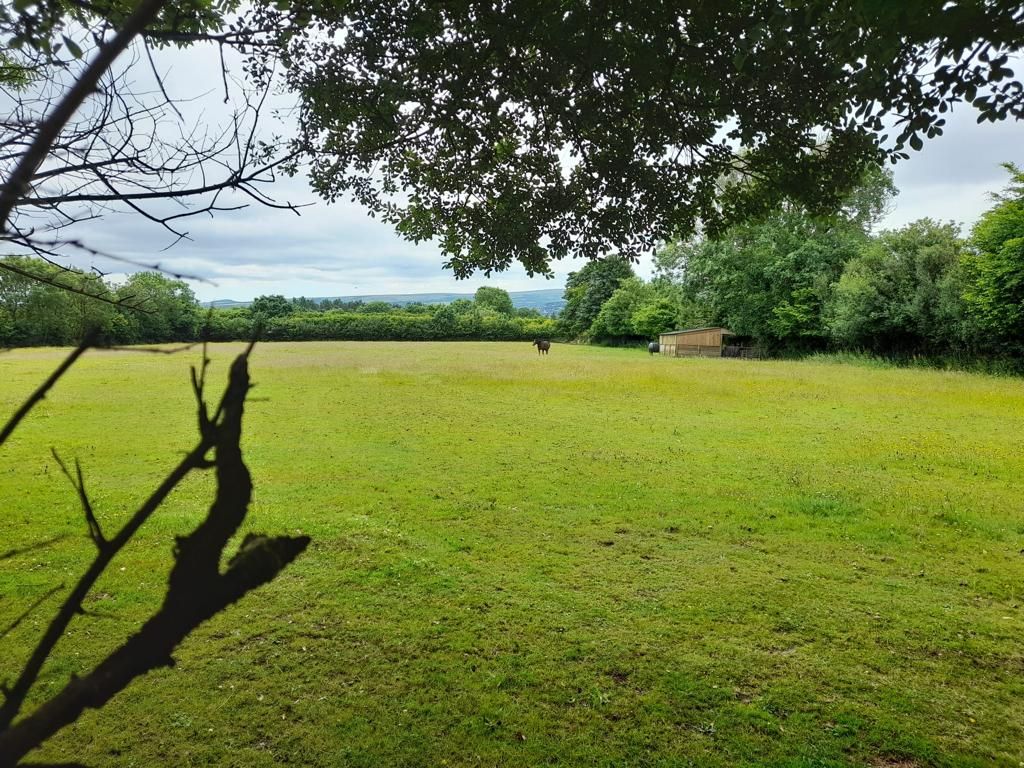 Land for sale in Buckland-In-The-Moor, Ashburton, Newton Abbot TQ13, £60,000