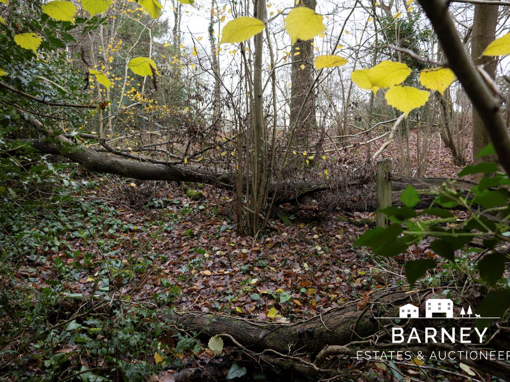 Land for sale in Land At Bashurst Hill, Horsham RH13, £40,000