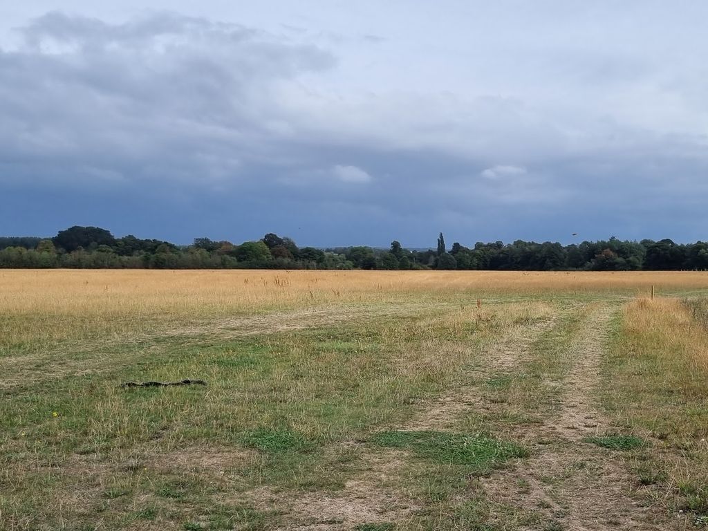 Land for sale in Wallingford Road, Wallingford OX10, £6,900