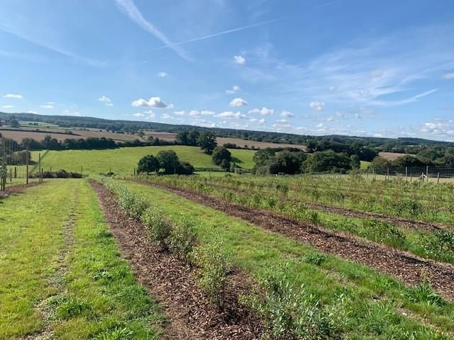 Land for sale in Land At Burrows Lea, Hook Lane, Shere, Guildford GU5, £150,000
