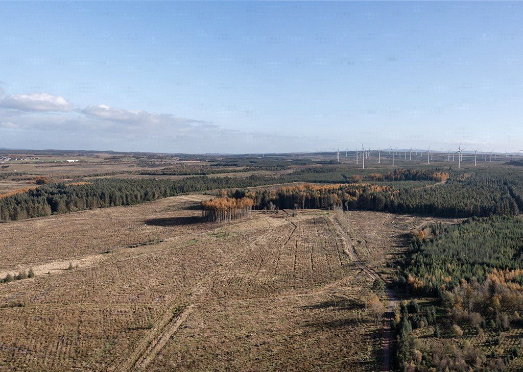 Land for sale in Dura Forest, Allanton, North Lanarkshire ML2, £5,250,000