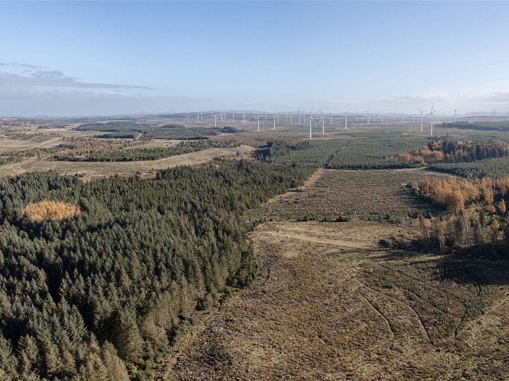 Land for sale in Dura Forest, Allanton, North Lanarkshire ML2, £5,250,000