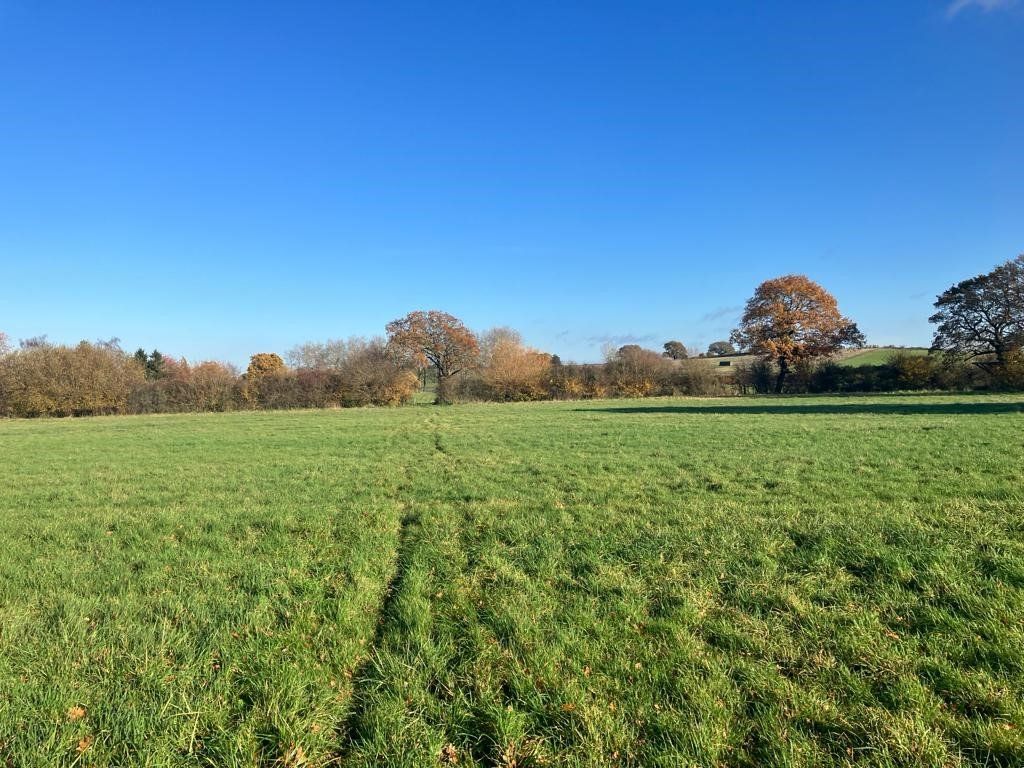 Land for sale in Bailes Lane, Normandy, Guildford, Surrey GU3, £360,000