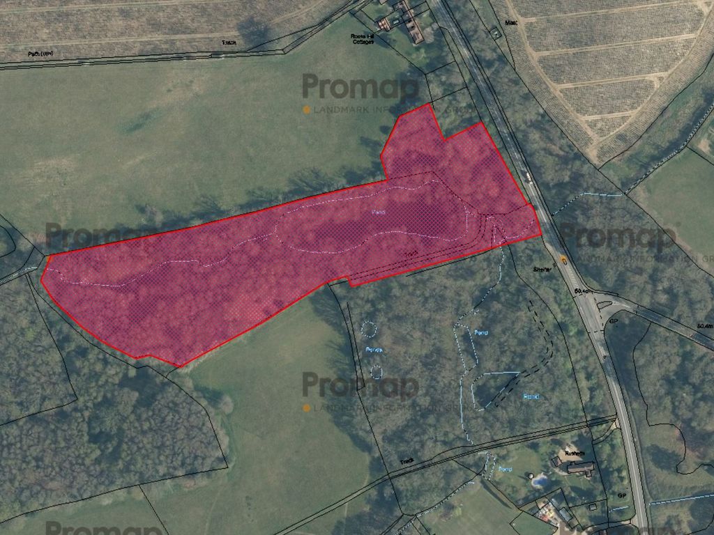 Land for sale in Horsham Road, Bramley GU5, £300,000