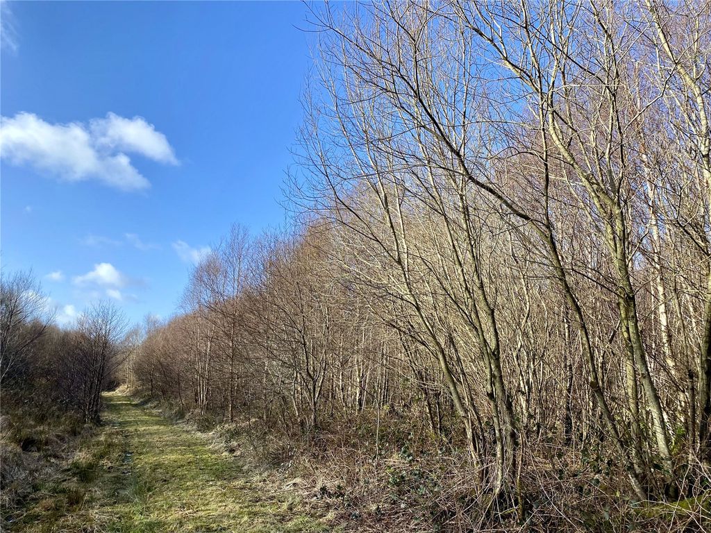 Land for sale in Coed Y Waun, Commins Coch, Powys SY20, £150,000