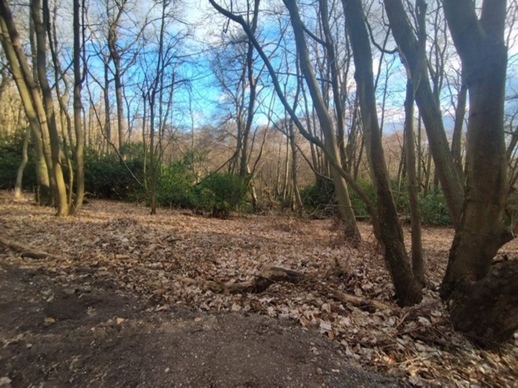Land for sale in Mole Road, Reading RG2, £20,000