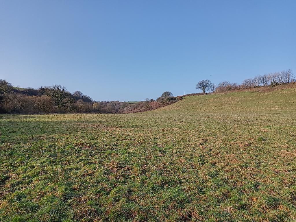 Land for sale in Henfeddau, Llanfyrnach, Pembrokeshire SA35, £75,000