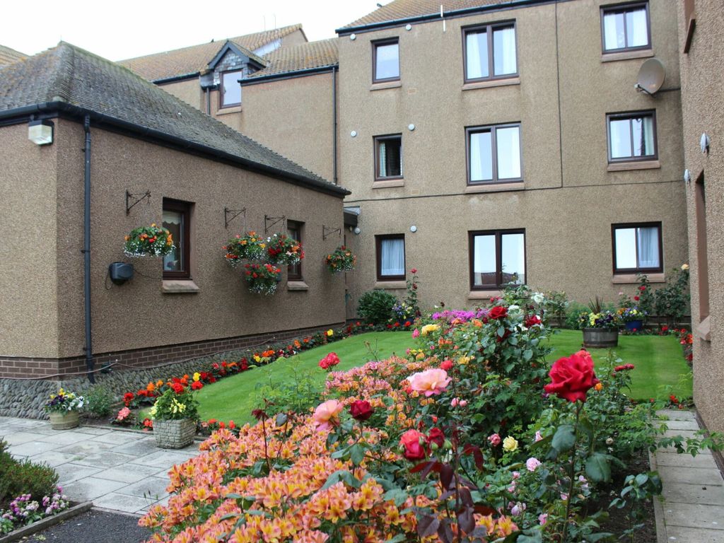 1 bed flat to rent in Swan Court, Eyemouth TD14, £488 pcm